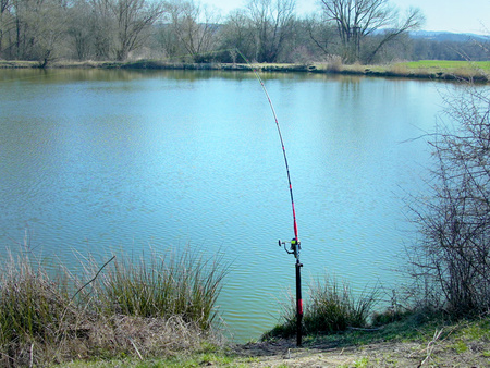 Podpórka do wędek sumowych Delphin ENERGY 100cm Delphin (101005679)
