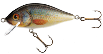 WOBLER HS KARAŚ 8 F UK JAXON VJ-KA8FUK