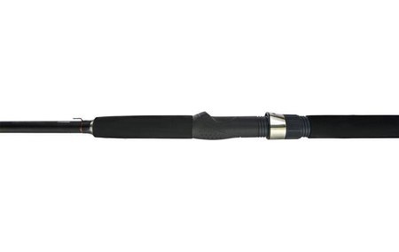 RIVAL SEA PICKER 240 c.w. up to 250 g MIKADO WAA814-240
