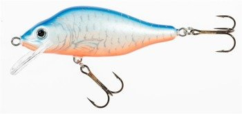 WOBLER JAXON HS VALADER 9 F NL JAXON VJ-E09FNL