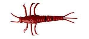 JĘTKA SAVAGE GEAR LB 3D PVC Mayfly 5cm Red 1szt. (55115)