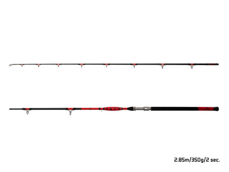 Delphin DANGER CatFISH 285cm/350g/2składy Delphin (101004441)