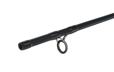 RIVAL SEA PICKER 240 c.w. up to 250 g MIKADO WAA814-240
