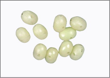 KORALIKI DO MONTAŻU PRZYWIESZEK 5,8/8mm OP.100 SZT KONGER 401000002