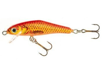 WOBLER PŁYWAJĄCY HS GELON 5 F EN JAXON VJ-GL05FEN