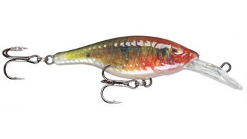 Wobler FishTank CHARLIE floating 7 cm / 11 g parrot    DRAGON PRD-CH7F-PR