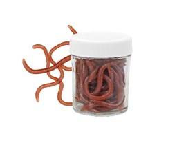 DŻDŻOWNICA , DŻDŻOWNICE GROUNDWORM PRZYNĘTY SZTUCZNE SŁOIK 333000005