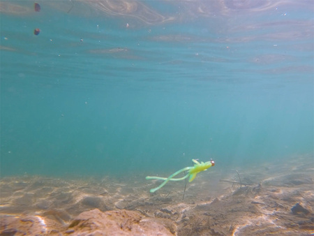 Sztuczna przynęta Delphin B! Stinx NYMPHA / 20 szt. 2.5cm / MUDDY Delphin (101005900)