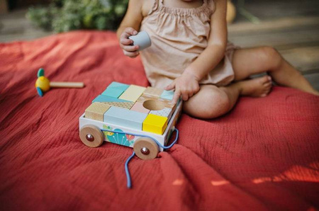 Wózek drewniany z klockami do ciągnięcia Pure, Janod