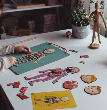 Układanka magnetyczna Ciało człowieka, Janod