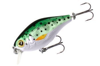 WOBLER - FISHUNTER BOLD HEAD - 4cm/RAINBOW TROUT - PŁYWAJĄCY - op.1szt. MIKADO PWF-BH-4F-RT