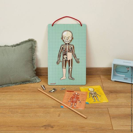 Układanka magnetyczna Ciało człowieka, Janod