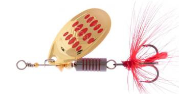 BŁYSTKA OBROTOWA - HYPNOTIC nr 1 - GOLDEN RED - op.1szt. MIKADO PMB-HYP-1-GR