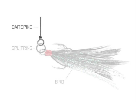 Delphin BAIT SPIKE L/30mm/10ks Delphin (101003635)