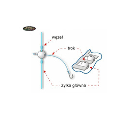 STONFO-66 KORALIKI Z 2 KANAŁ.ROZM.6MM-5X24SZT JAXON AS-666