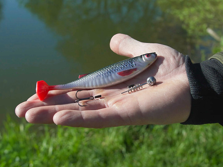 DuoPACK BOX Delphin Realix 3D / 6 x 2szt 13cm / Pike Delphin (101005626)