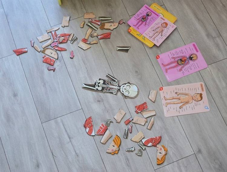 Układanka magnetyczna Ciało człowieka, Janod