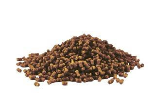 PELLET METHOD FEEDER READY 2MM MARCEPAN-MIÓD 500G JAXON FM-PR25