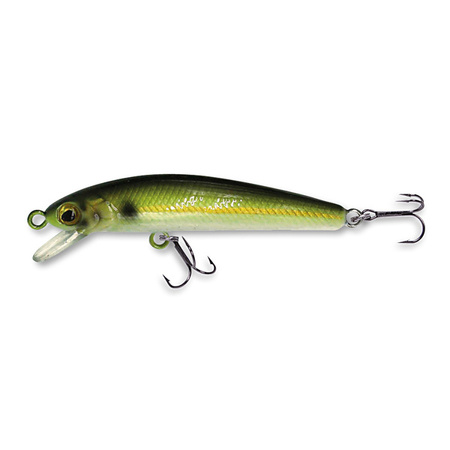 Wobler Robinson Rickie F50, 50mm, 2,5g Robinson 46-1RC-F50-TE