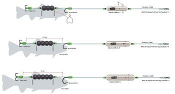 ZESTAW SUMOWY Z SPŁAWIKIEM PODWODNYM DO POŁOWU DENNEGOMADCAT ADJUSTA PROFI RIVER RIG "DEADBAIT" / M DAM 55993