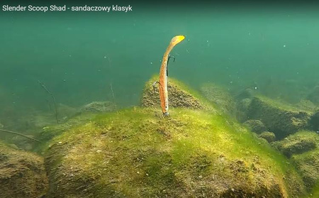 (R) GUMA SLENDER SCOOP SHAD 15CM 17G GREEN SILVER 1szt Savage Gear (74275)