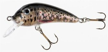 WOBLER HS SENSO 6 F EB JAXON VJ-SE06FEB