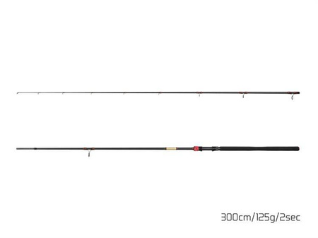 Delphin MURENA POWER 210cm/125g/2 składy Delphin (101003140)