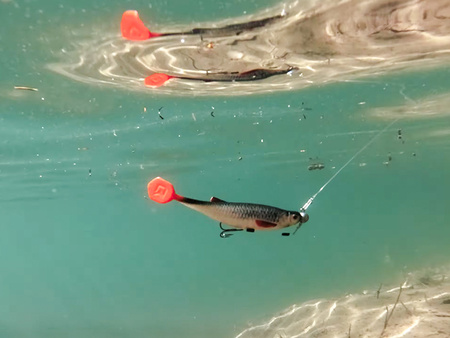 Sztuczna przynęta Delphin Realix 3D / 2 szt 13cm / Minnow Delphin (101005618)