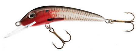 WOBLER HS FEROX 10 F RB JAXON VJ-F10FRB