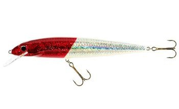 WOBLER TROLLINGOWY HS FISH MAX 25 F RH JAXON VJ-W25FRH