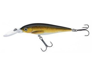 WOBLER ATRACT HOFF 8cm I JAXON VR-TG080I