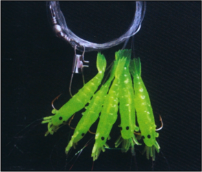 ZESTAW DORSZOWY NR.21 KREWETKA PRZYWIESZKA MORSKA KONGER 401030021