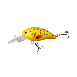 Wobler Robinson Buster F40, 40mm, 4g Robinson 46-1BU-F40-TR