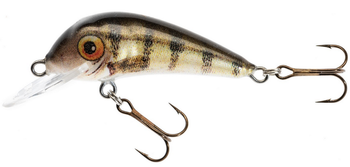 WOBLER HS SENSO QM 5,5 F OF JAXON VJ-SQ055FOF
