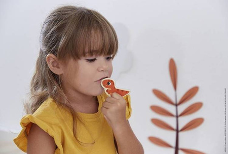 Magnesy drewniane Dinozaury 24 sztuki 2+, Janod