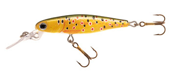 WOBLER HS MANGA DR 5 DR ED JAXON VJ-MC05DRED