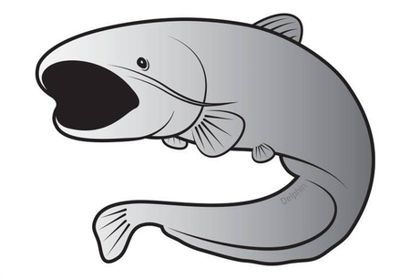 Naklejka sumec SILVER Delphin (795010090)