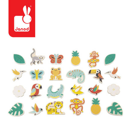 Zestaw magnesów 24 szt. Tropik 2+, Janod