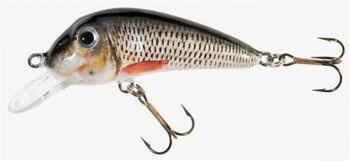 WOBLER HS SENSO 6 F PC JAXON VJ-SE06FPC