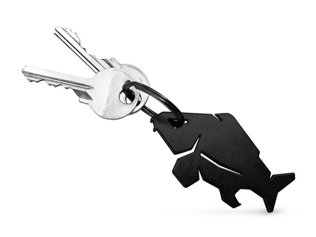 Brelok z otwieraczem do butelek Delphin CARPENER Czarny Delphin (101005929)