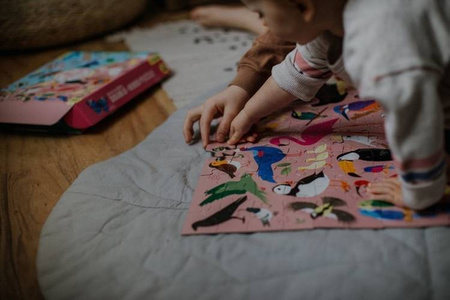 Mudpuppy Puzzle dwustronne Robaki i ptaki 100 elementów 6+