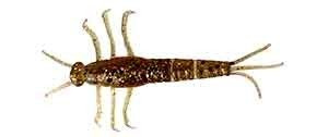 JĘTKA SAVAGE GEAR LB 3D PVC Mayfly 5cm Brown Glitter 1szt. (55114)