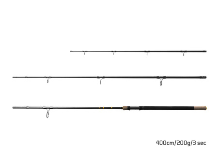10+1 - Delphin RIVER Trophy NXT +4 szczytówki 320cm/180g/3 składy Delphin (101006425)