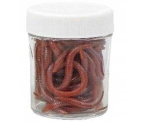 DŻDŻOWNICA , DŻDŻOWNICE GROUNDWORM PRZYNĘTY SZTUCZNE SŁOIK 333000005