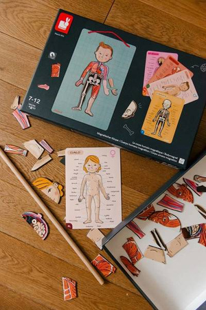 Układanka magnetyczna Ciało człowieka, Janod