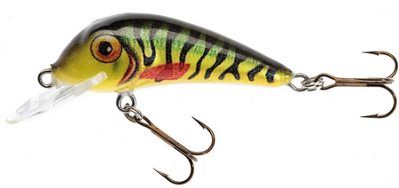 WOBLER HS SENSO QM 5,5 F MC JAXON VJ-SQ055FMC