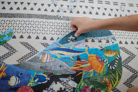 Mudpuppy Puzzle konturowe wieloryb Życie oceanu 300 elementów 7+