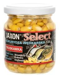 KUKURYDZA SELECT 220ML TRUSKAWKA JAXON FJ-SK03