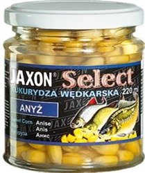 KUKURYDZA SELECT 220ML ANYŻ JAXON FJ-SK01