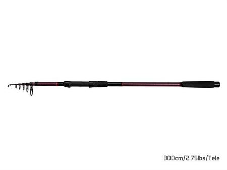 WĘDKA TELESKOPOWA KARPIOWA TAIGA NXT 300cm/2,75lbs/Tele Delphin (101001432)